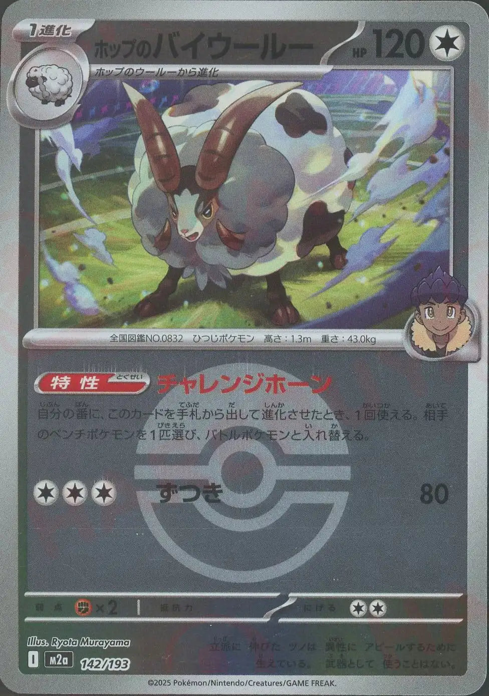 ホップのバイウールー:ボールミラー(-){無}〈142/193〉[M2a-BM]