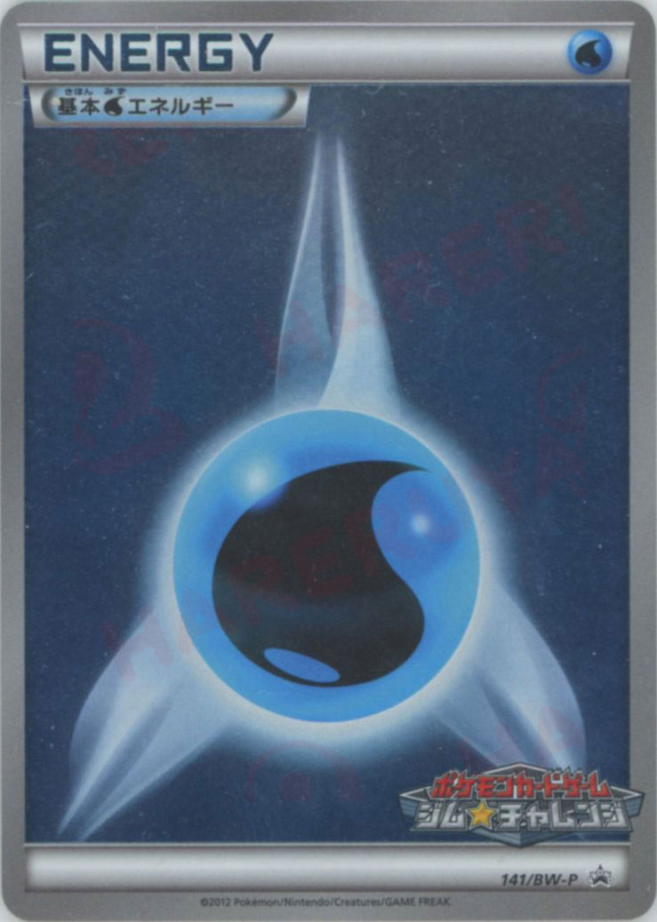 基本水エネルギー:ジムチャレンジ網柄(PROMO){基本エネルギー}〈141/BW-P〉[BW-P]