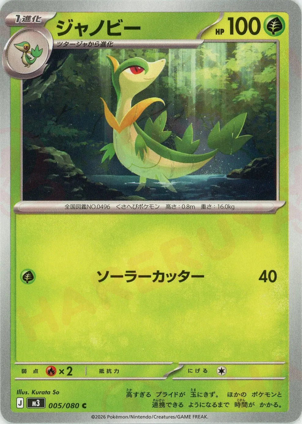 ジャノビー(C){草}〈005/080〉[M3]