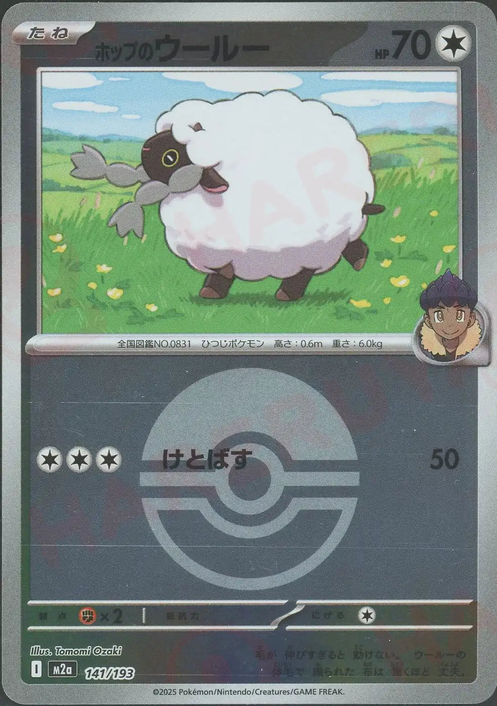 ホップのウールー:ボールミラー(-){無}〈141/193〉[M2a-BM]