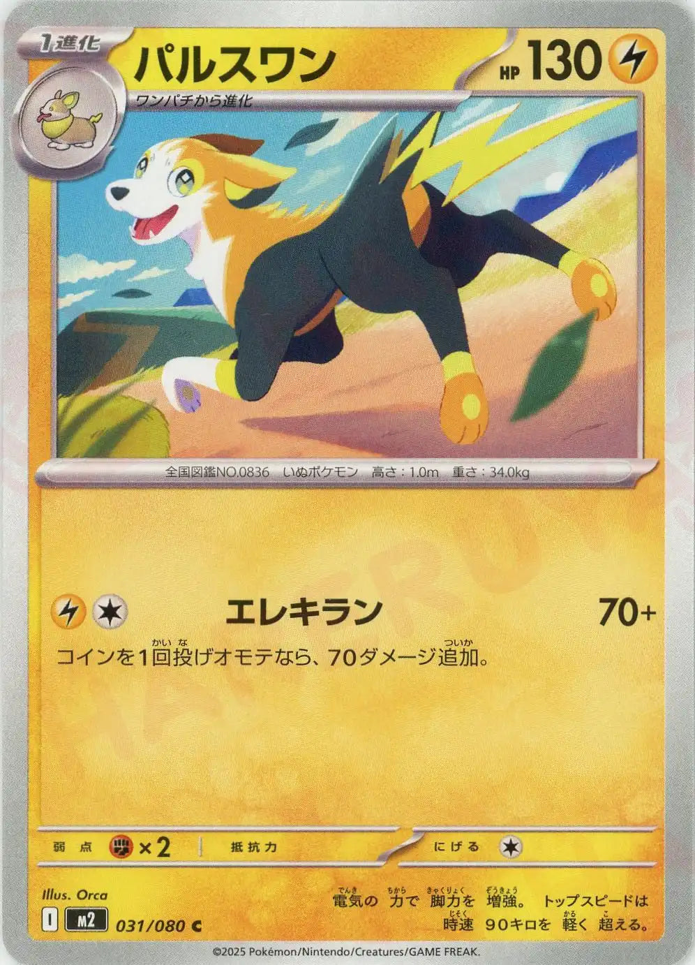 パルスワン(C){雷}〈031/080〉[M2]