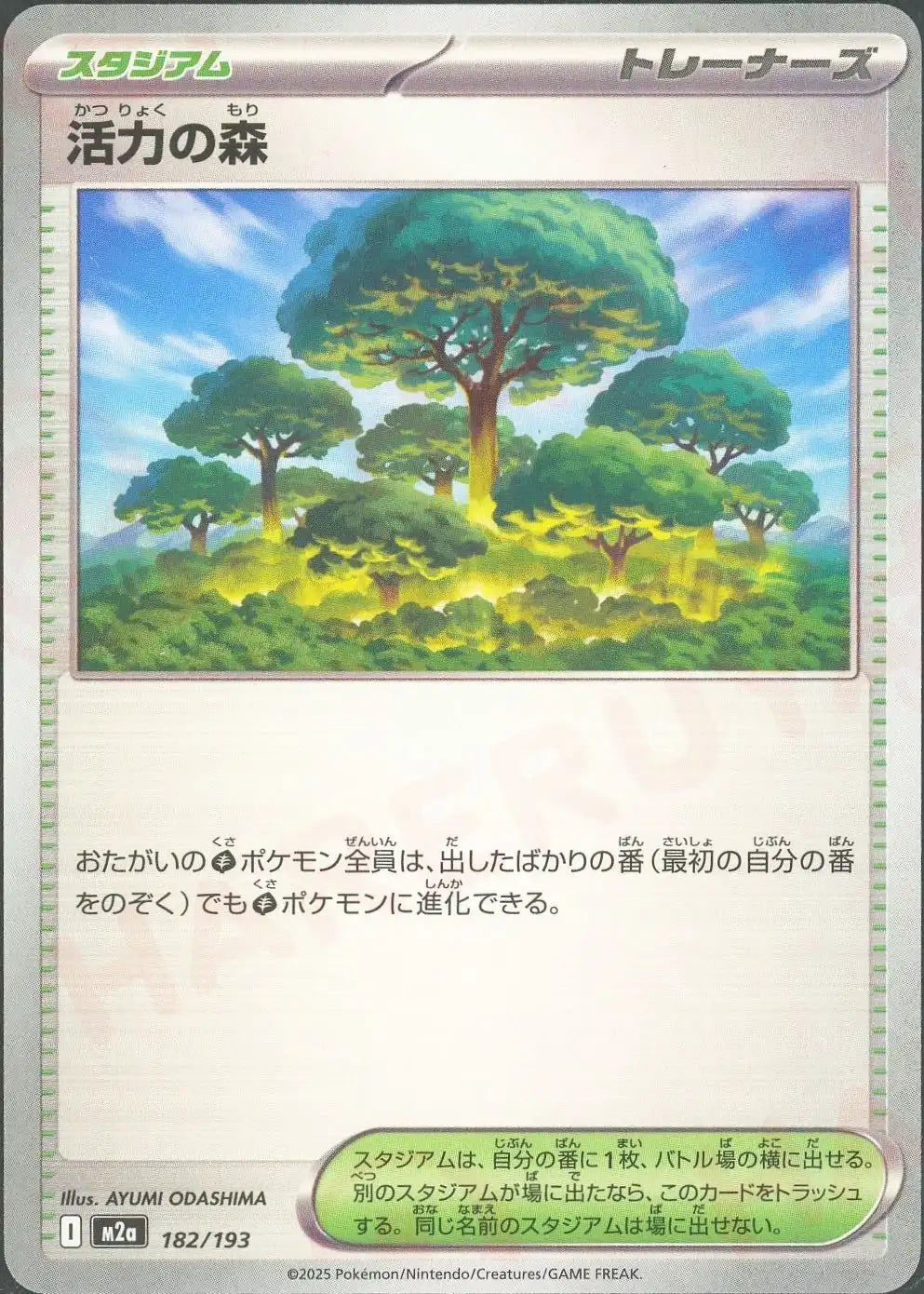 活力の森(-){スタジアム}〈182/193〉[M2a]