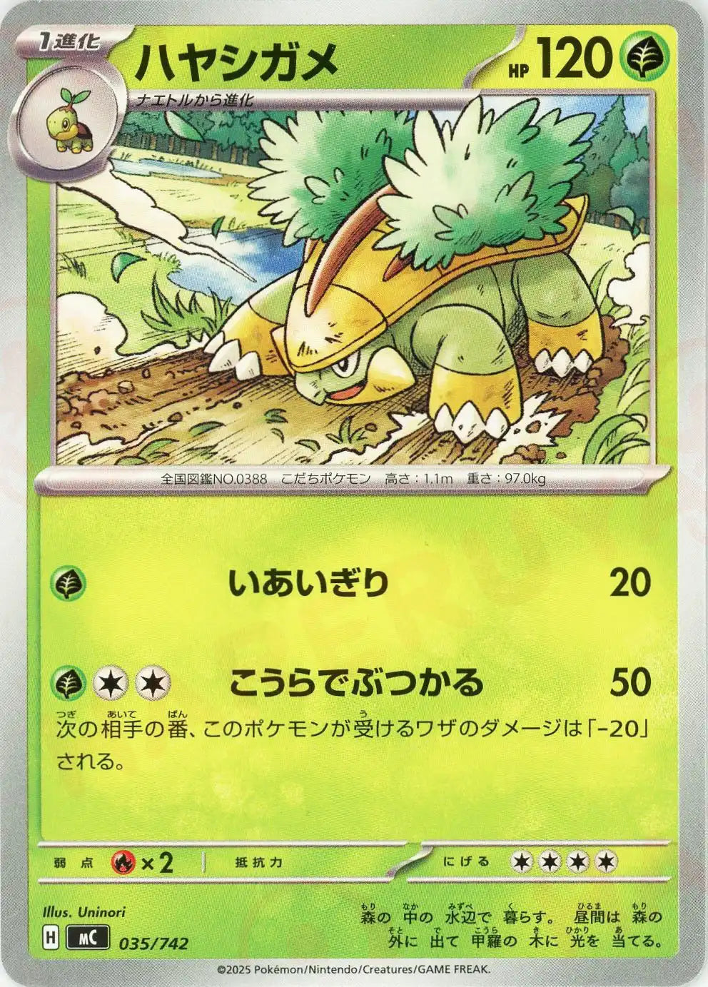 ハヤシガメ(-){草}〈035/742〉[MC]